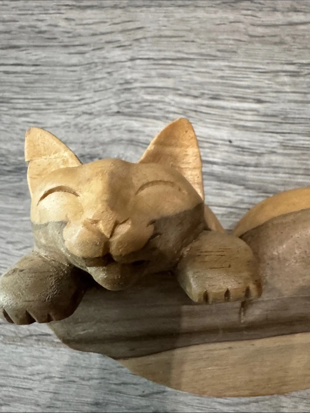 Cat Shelf sitter